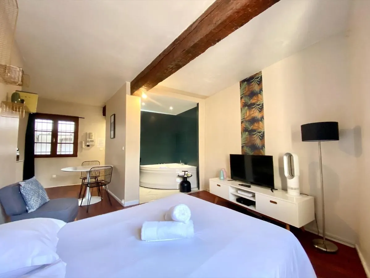 Apartmán Alcove Spa - Toulouse Hypercentre